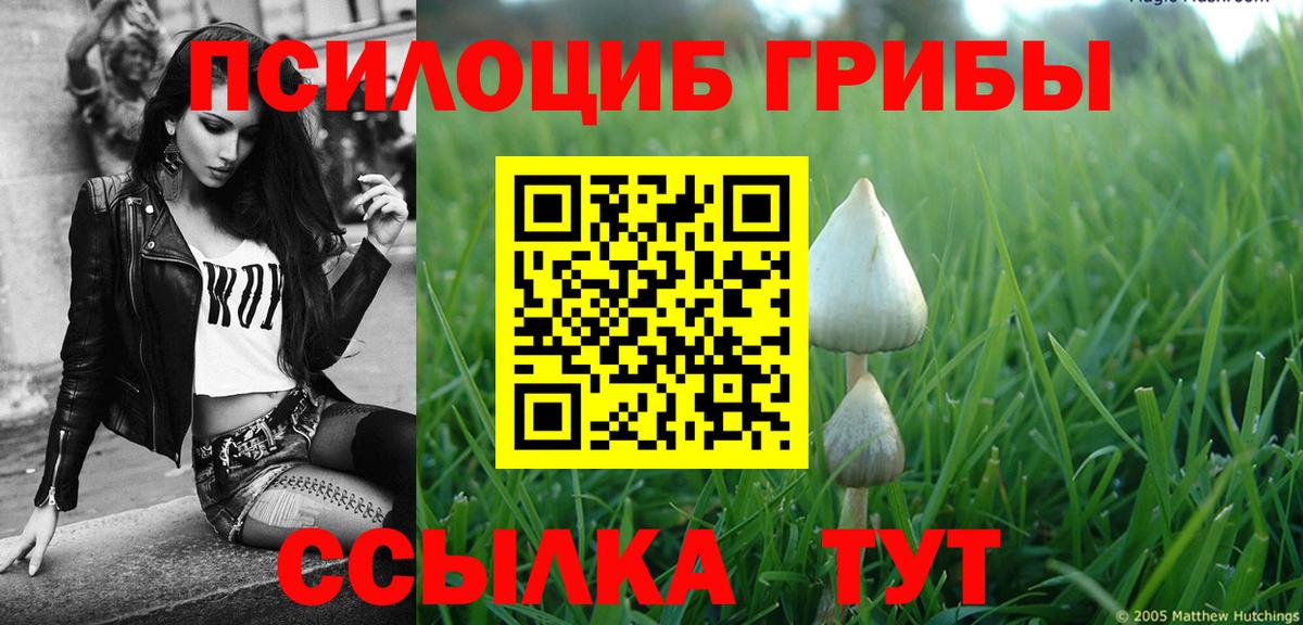 Галлюциногенные грибы прущие грибы Ачхой-Мартан