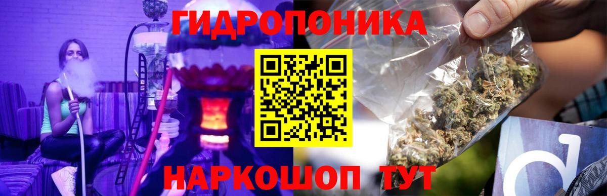 Ачхой-Мартан  Конопля ГИДРОПОН  Конопля THC 21%  Бошки Шишки индика  Вход с VPN 